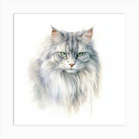 Australian Mist Longhair Cat Portrait 2 Art Print