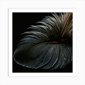 Close Up Of A Feather On A Black Background Art Print