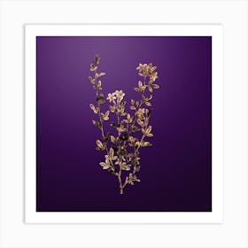 Gold Botanical Yellow Jasmine Flowers on Royal Purple n.0892 Art Print