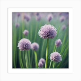 Chives 1 Art Print