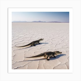 Desert Crocos Art Print