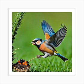 Bird In Flight 10 Art Print