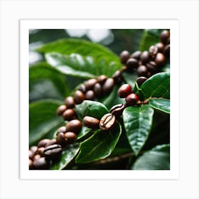 Coffee Beans On A Tree 23 Art Print