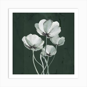 White Poppies Art Print