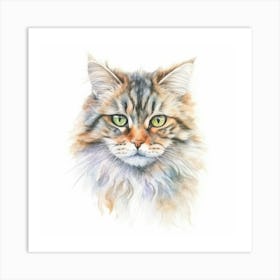 Pallass Cat Portrait 2 Art Print