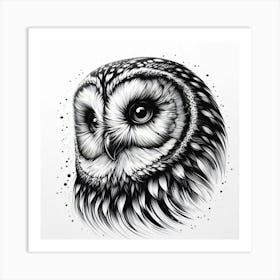 Barn Owl Art Print