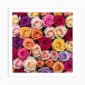 All Roses Colors Flat As Background (10) Art Print