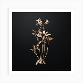 Gold Botanical Lily of the Incas on Wrought Iron Black n.0521 Art Print