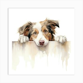 Australian Shepherd Dog Art Print