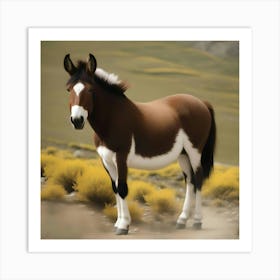 TIBETAN WILD ASS Art Print