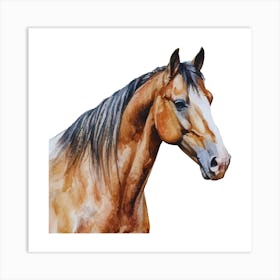 Horse Watercolor Painting.uk 1 Art Print