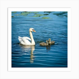 Firefly Baby Ducklings And Cygnet Swimming In Tranquil Lake 79269 (2) Art Print