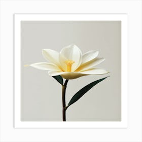 White Lily Art Print