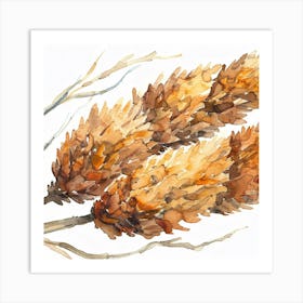 Acorns Art Print