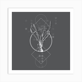 Vintage Sea Daffodil Botanical with Line Motif and Dot Pattern in Ghost Gray n.0173 Art Print