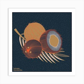 Coconuts And Coconut Tree Branch Square Art Print