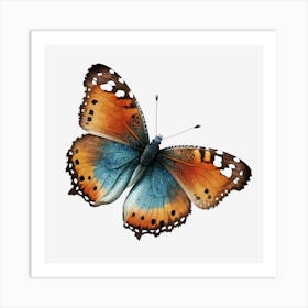 Butterfly On Black Background 1 Art Print