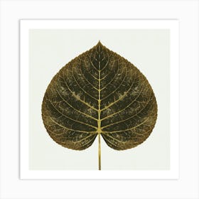 Leaf 1 1 Art Print