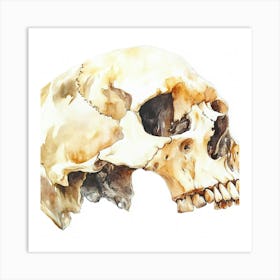 Skull Watercolor Illustration Art Print