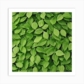 Green Leaves 5 Art Print