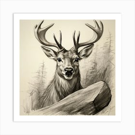 Deer With Antlers 7 Art Print