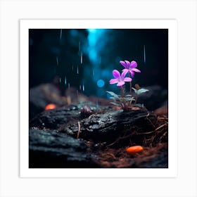 up close on a black rock in a mystical fairytale forest, alice in wonderland, mountain dew, fantasy, mystical forest, fairytale, beautiful, flower, purple pink and blue tones, dark yet enticing, Nikon Z8 Art Print