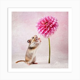 Hamster Clasping A Pink Dahlia In Its Delicate Paws Fur Texture Detailed Dahlia Petals Exhibiting Art Print