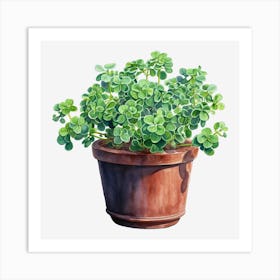 Shamrock 3 Art Print