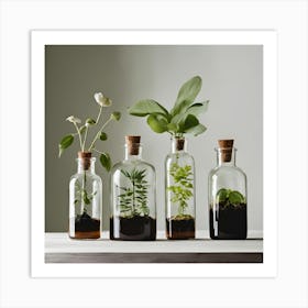 Terrariums 1 Póster