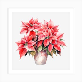 Poinsettia 15 Art Print