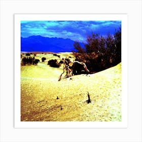 The Wonders Of Death Valley Art Print