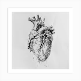 Human Heart Art Print