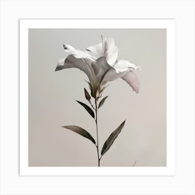 Lily Of The Valley Art Print