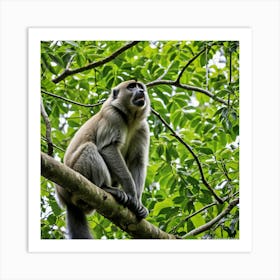 Monkey In Tree 3 Art Print