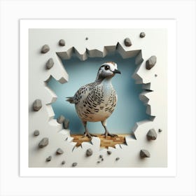 Quail Peeking Through A Hole 1 Art Print