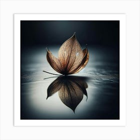 Leaf On Water Art Print