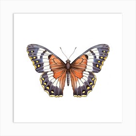 Butterfly 17 Art Print