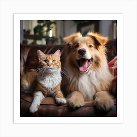 Cat And Dog Sitting On Couch Art Print
