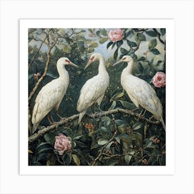 Three White Storks In A Tree Art Art Print