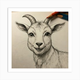 Goat Drawing 11 Art Print