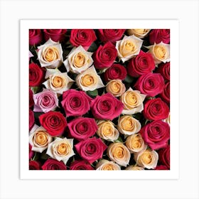 Colorful Roses Background Photo Art Print