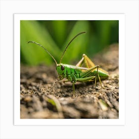 Grasshopper Art Print