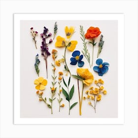 Dried Wild Flowers 5 Art Print