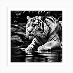 White Tiger 7 Art Print