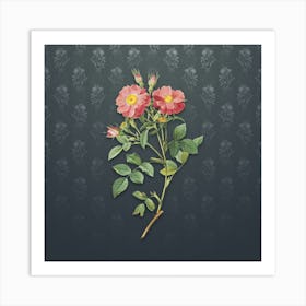 Vintage Sweetbriar Rose Botanical on Slate Gray Pattern n.2558 Art Print