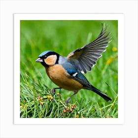 Bird Natural Wild Wildlife Tit Sparrows Sparrow Blue Red Yellow Orange Brown Wing Wings (37) Art Print