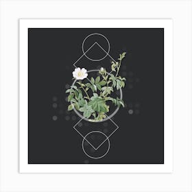 Vintage White Downy Rose Botanical with Geometric Line Motif and Dot Pattern n.0213 Art Print