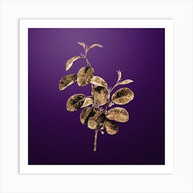 Gold Botanical Alpine Buckthorn Plant on Royal Purple n.1843 Art Print