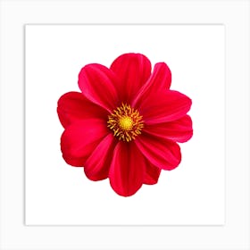 Red flower design Art Print