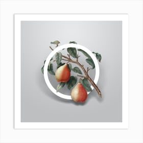 Vintage Wild European Pear Minimalist Botanical Geometric Circle on Soft Gray Art Print